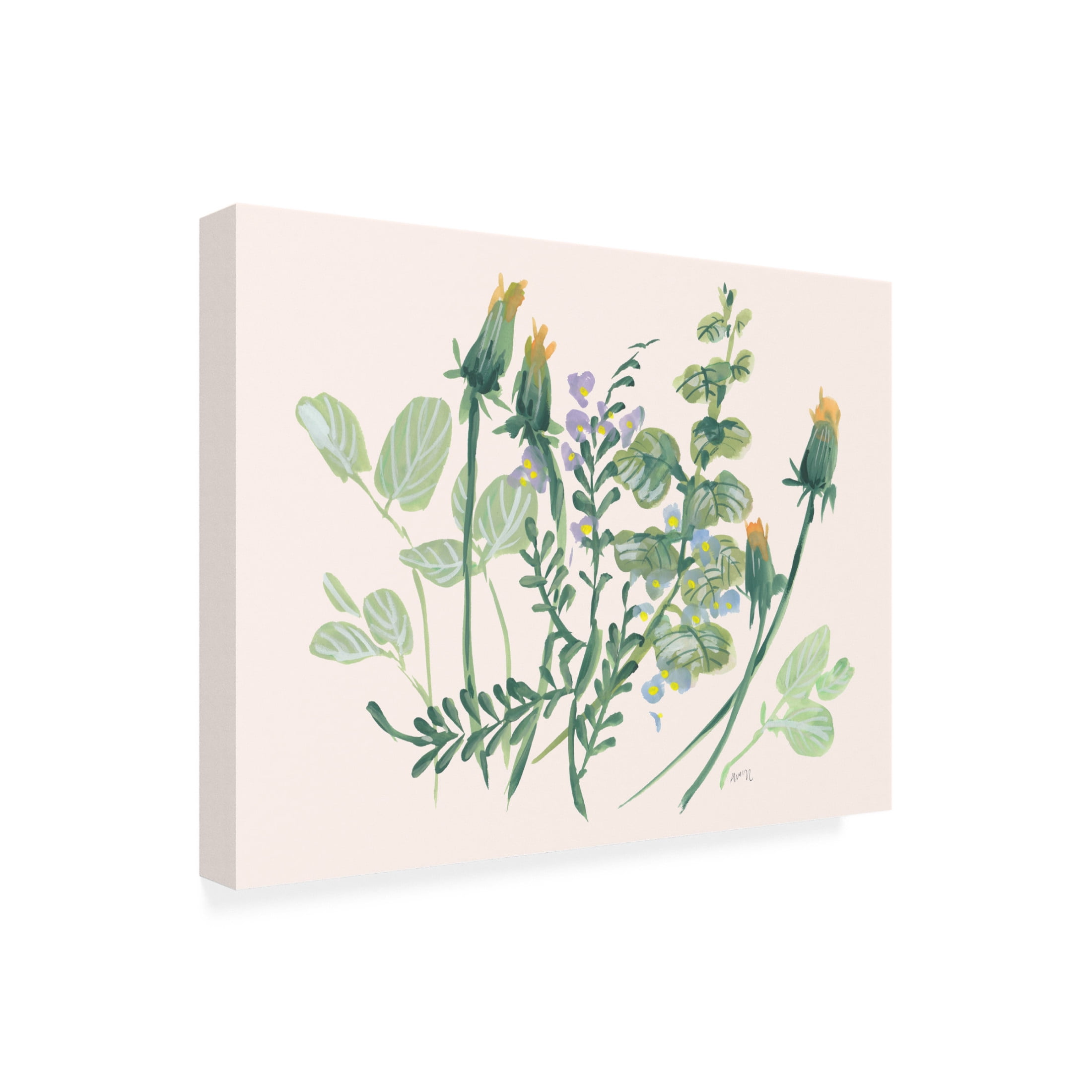 Trademark Fine Art Ania Zwara  Closed Dandelions Canvas Wall Art