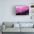 thumbnail image 2 of Canvas Wall Art - Apurva Madia 'Pink' Wall Art for Living Room, Bedroom, or Office D?cor by Trademark Fine Art - 19 x 12 Inches, 2 of 4