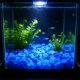 thumbnail image 4 of Guijarros luminosos para acuario que brillan en la oscuridad: piedras luminiscentes para paisajismo acuático, decoración de peceras, relleno de jarrones y jardinería. Grava luminosa de plást, 4 of 6