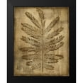 thumbnail image 2 of Slocum, Nancy 12x14 Black Modern Framed Museum Art Print Titled - Sepia Drenched Fern I, 2 of 5