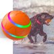 thumbnail image 1 of Juguetes inteligentes para gatos, juguetes de pelota impermeables luminosos para todas las mascotas (control remoto naranja) Ndcxsfigh Para estrenar, 1 of 9