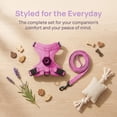 thumbnail image 5 of Adjustable Airtag Holder Cat Vest Harness with 1.5M Matching Leash, Escape Proof Reflective Pet Chest Harness for Kittens & Small Cats 3 to 8 Pounds Outdoor Walking, 5 of 7