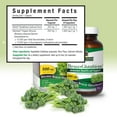 thumbnail image 3 of Nature's Answer Brocco Glutathione, 60 Vegetarian Capsules, Organic Broccoli, 3 of 7