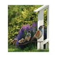 thumbnail image 3 of Metallic Quail Family Stake, 3 of 5