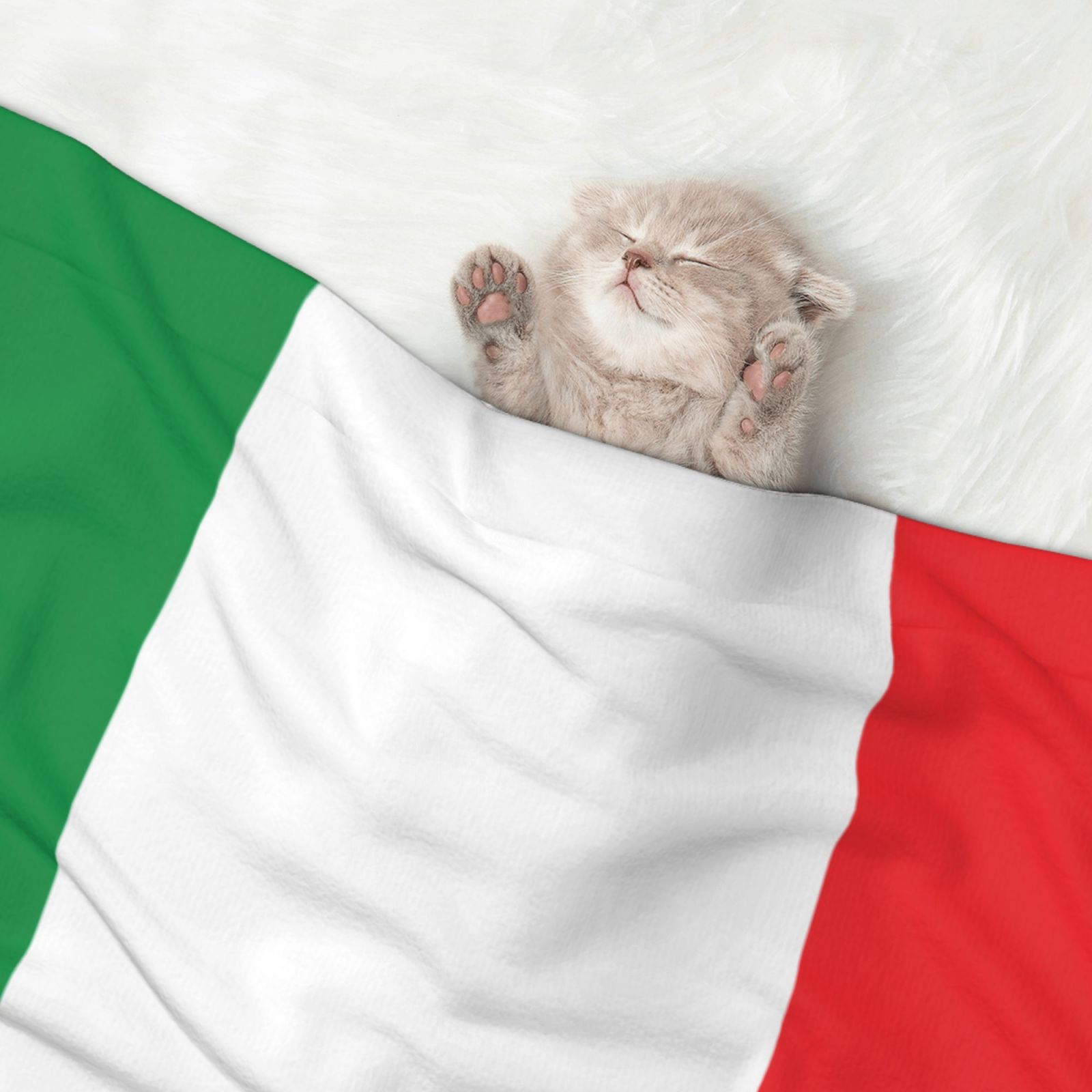 Flannel Throw Dog Blanket Italian Flag Soft Warm Print Pet Blankets for Small Dog Cat Puppy