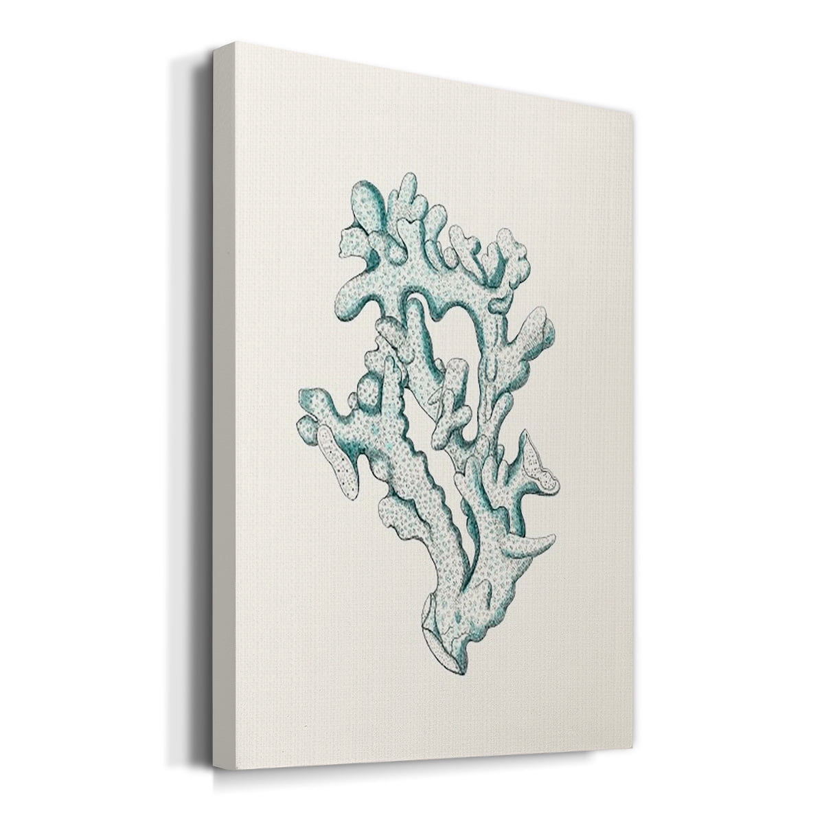 Antique Coastal Coral IV Premium Gallery Wrapped Canvas - Ready to Hang