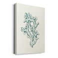 thumbnail image 2 of Antique Coastal Coral IV Premium Gallery Wrapped Canvas - Ready to Hang, 2 of 9