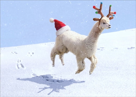 Decorated Moose Antlers Funny  Humorous Christmas Card Avanti Greeting Card 