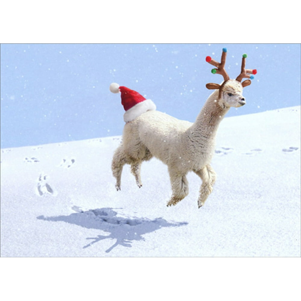 Avanti Press Alpaca Reindeer Box of 10 Funny / Humorous Christmas Cards ...