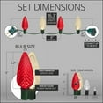thumbnail image 4 of Wintergreen Lighting C9 Red Warm White LED Christmas String Lights, Set of 24 Lights on Green Wire, 16.3ft, 4 of 6
