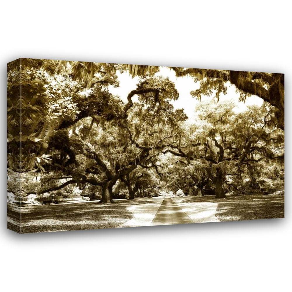 Alan Hausenflock 44x31 Gallery Wrapped Canvas Wall Art Titled - Druid Oaks II
