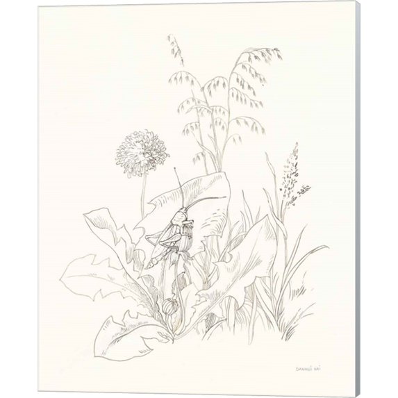 Great Art Now Nature Sketchbook VII by Danhui Nai, Canvas Wall Art, 16W x 20H