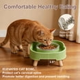 thumbnail image 6 of Unique Bargains Ant Proof Cat Food Bowl Non-Slip Elevated Cat Feeding Bowl Prevents Ants from Entering and Reduces Neck Stress Green, 6 of 7
