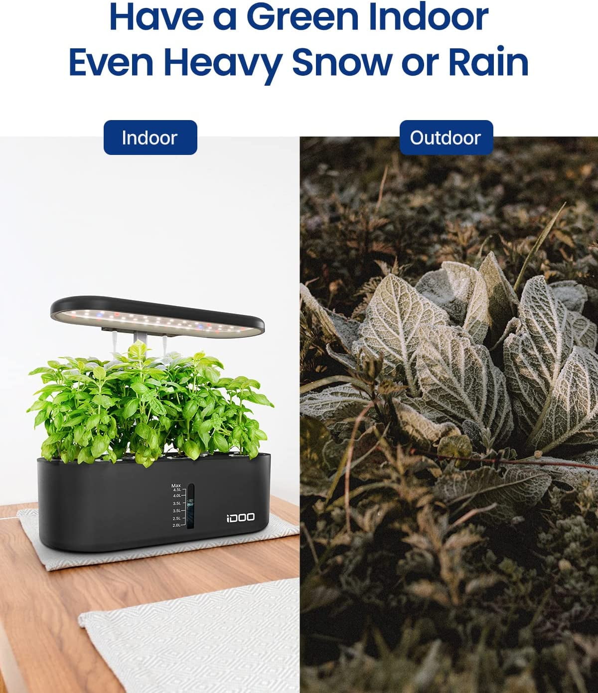 Indoor Herb Garden Calgary - Create an Indoor Herb Garden for Good Health