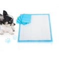 thumbnail image 2 of Creative Pet Group  Pet Training Pads - Blue, 100 Count, 2 of 3