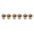 thumbnail image 1 of Guardoinrt 2piece Potted Simulation Plants Adding Beauty And Style To Any Setting Durable Pot Bonsai Ornament pink 3Set, 1 of 6