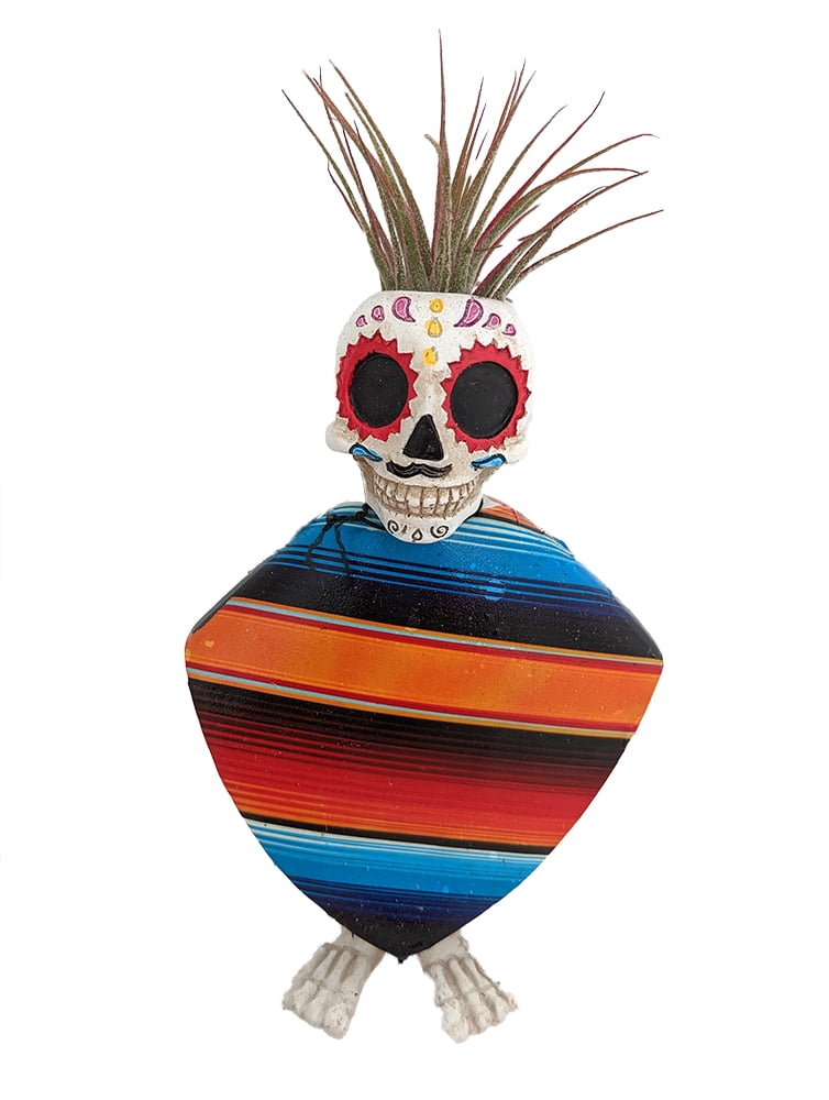 Day of the Dead Skeleton Planter + Live Tillandsia Air Plant 5"x3.5