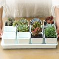 thumbnail image 1 of 1 Set Resin Breathable Succulents Pot Plant Holder Nursery Garden Container, 1 of 2