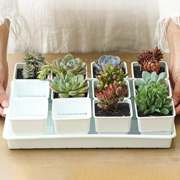 1 Set Resin Breathable Succulents Pot Plant Holder Nursery Garden Container