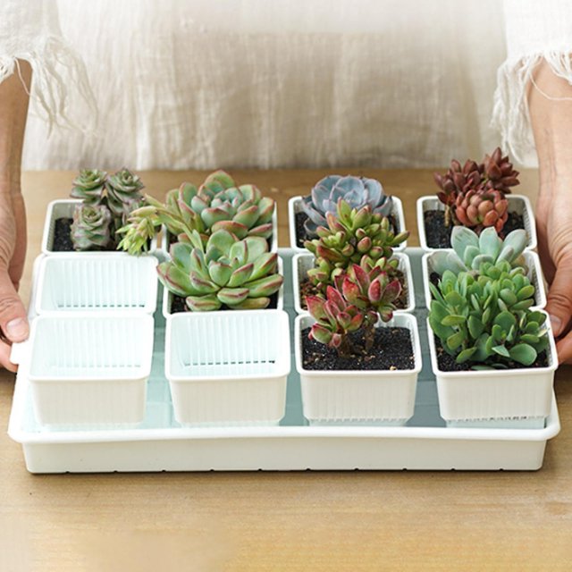 1 Set Resin Breathable Succulents Pot Plant Holder Nursery Garden Container