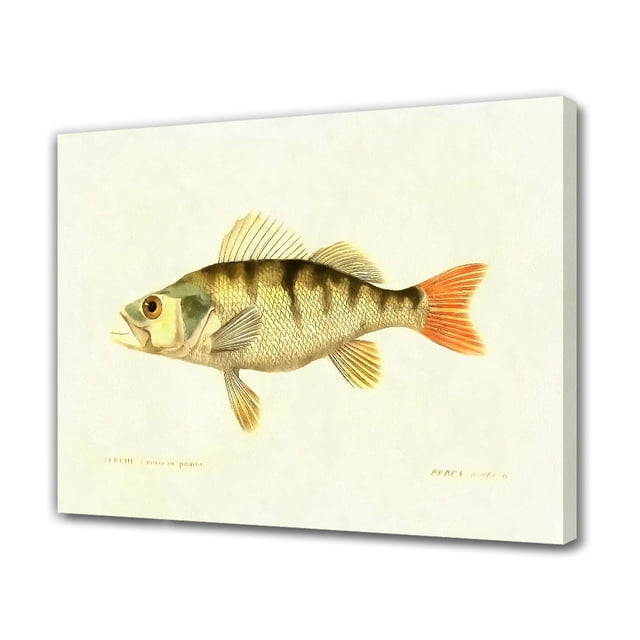 Póster de pintura de peces, pintura decorativa, lienzo, arte de pared, carteles para sala de estar, pintura para dormitorio, estilo marco, 12 x 18 pulgadas (30 x 45 cm)