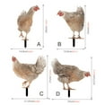 thumbnail image 2 of NUOLUX 4Ud Estaca Decorativa Para Jardín En Forma De Gallina Acrílica Resistente Y Colorida, 2 of 7