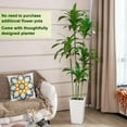thumbnail image 4 of VIVATREES 7FT Dracaena Artificial Tree with White Planter, Indoor Faux Floor Plant with Natural Wood Trunk and Realistic Green Leaves, No-Maintenance Decorative Tree for Home Office Living Room Decor, 4 of 10