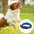 thumbnail image 3 of Adjustable Double Thick Heavy Duty Nylon Military Dog Collar With Metal D Ring And Clasp Ring, 3 of 5