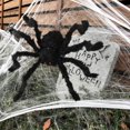 thumbnail image 3 of Bullpiano Halloween Spider Decorations, Realistic Hairy Spiders, Scary Spider Props for Indoor, Outdoor and Yard Creepy Decor, 3 of 9
