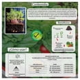 thumbnail image 3 of Super Abono Vita Rancho Los Molinos Abono 2kg, 3 of 4