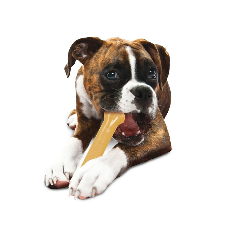 Nylabone Dura Chew Dog Bone Large Dental Teething Treat Original Flavor Suitable for Large Dogs Walmart