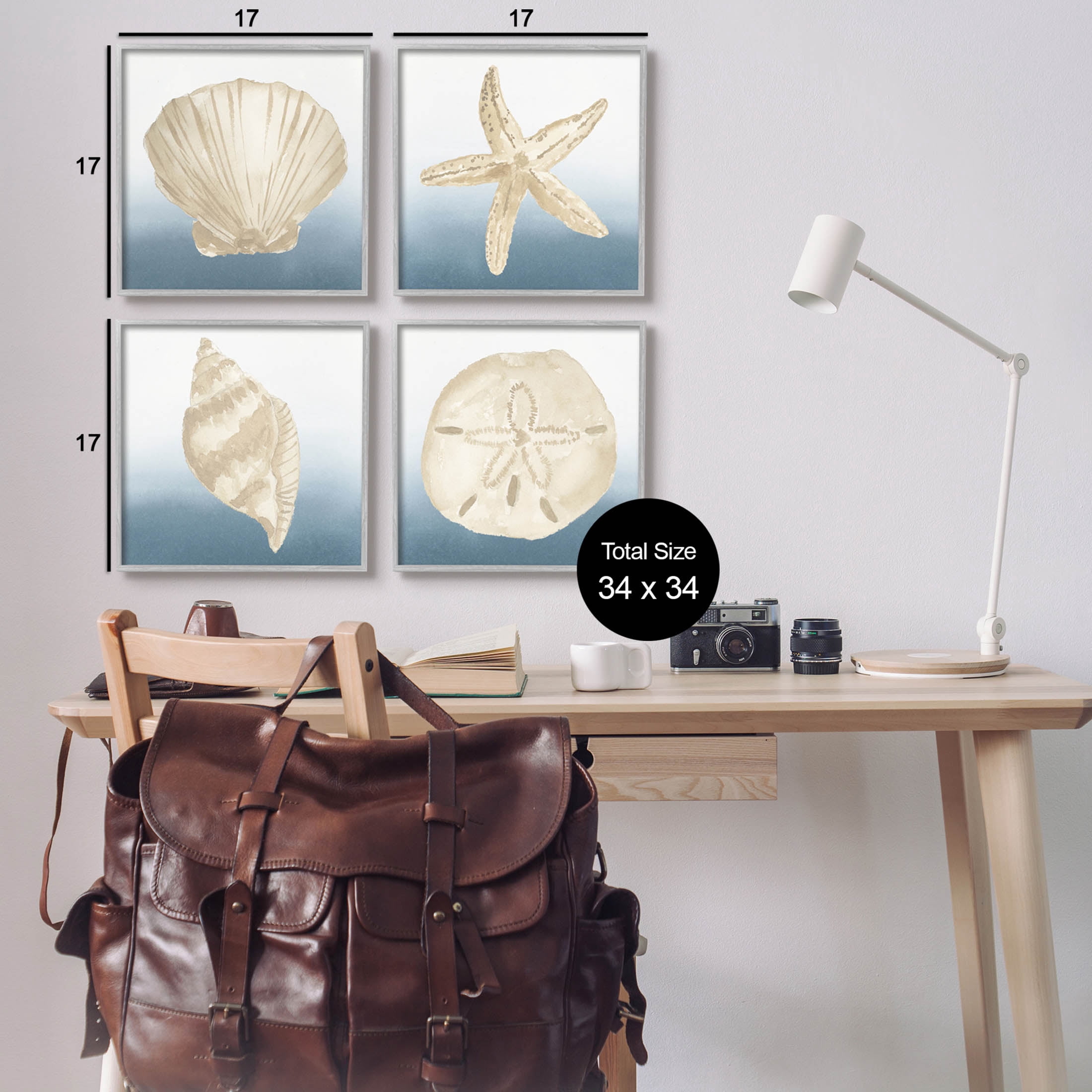 Maritime Seashells Ocean Beach Life Animals & Insects Graphic Art Gray Framed Art Print Wall Art, Set of 4