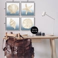 thumbnail image 3 of Maritime Seashells Ocean Beach Life Animals & Insects Graphic Art Gray Framed Art Print Wall Art, Set of 4, 3 of 8