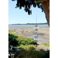 thumbnail image 4 of Quad Sandals Cohasset Bell, 4 of 4