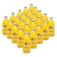 thumbnail image 1 of 24 Pack Jugo Schorle Félix Maracuyá Veracruz 355ml C/u, 1 of 1