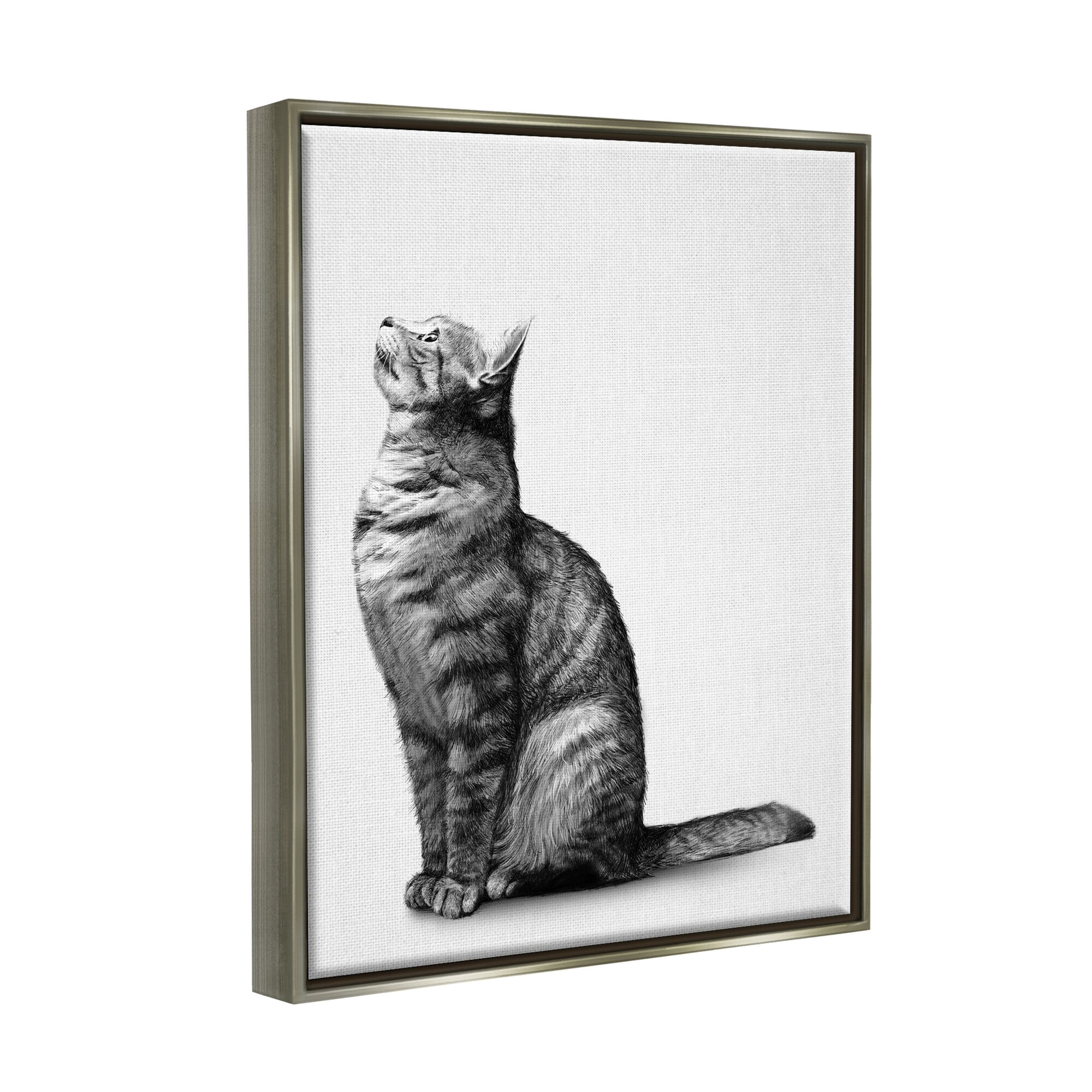 Stupell Industries Manx Cat Sitting Calmly Detailed Casual Portrait Graphic Art Luster Gray Floating Framed Canvas Print Wall Art, Design by Ziwei Li