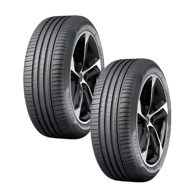 Paquete de 2 llantas 225/55R19