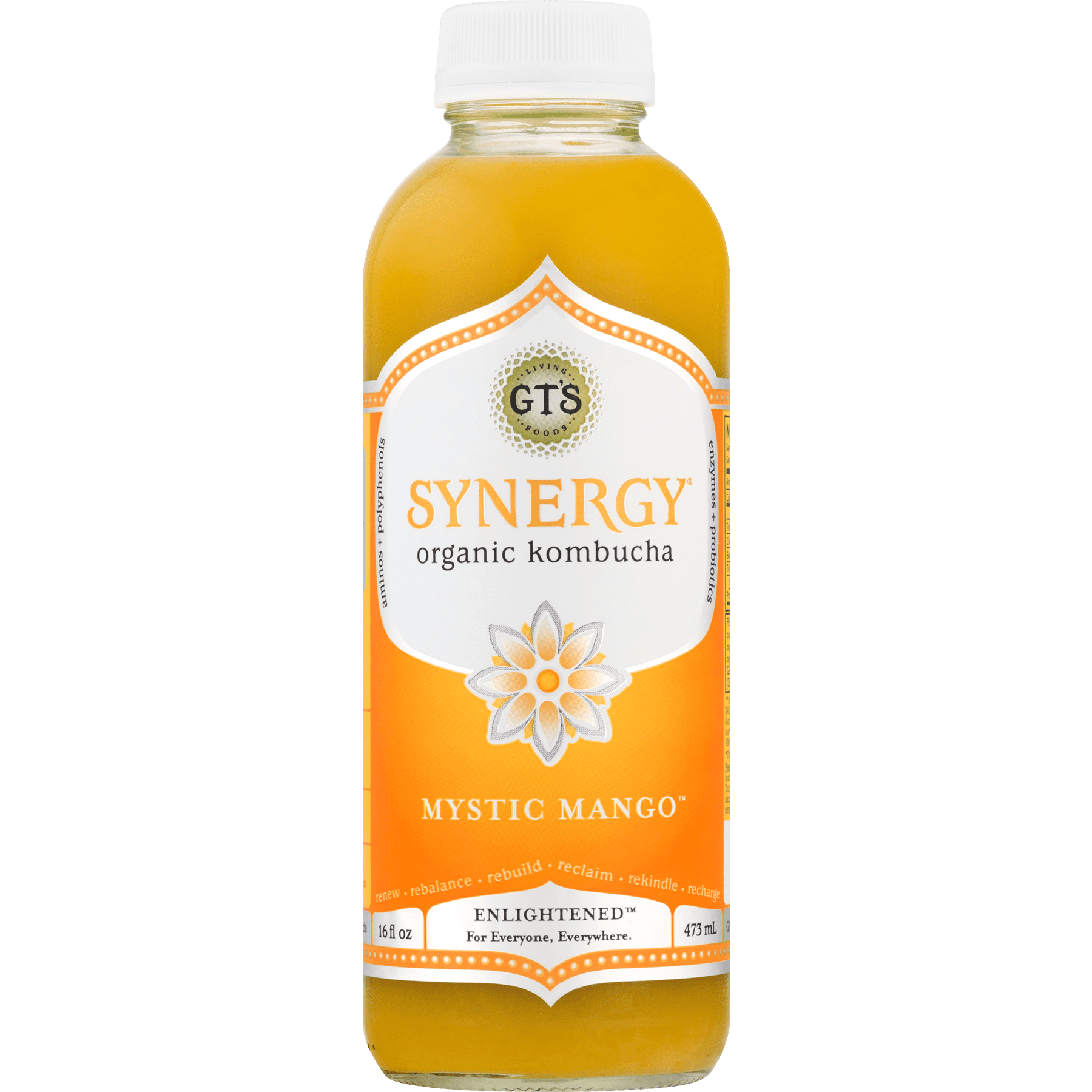 synergy kombucha case
