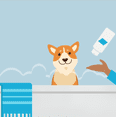 thumbnail image 3 of Dr. Sniff Sulfate-Free Coat Wash Shampoo for Dogs and Cats, 3 of 6