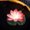 Red, variant on Tunhigl Water Sensing Solar Powered Floating Lotus Pool Lamp with LED Lights - Automatic On/Off for Ponds, Gardens, Diwali Decor, and Festive Parties Beige