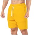 thumbnail image 1 of Pantalones Cortos para Hombres Casual Verano Color Sólido Casual Cordón Bolsillo Recto a Través de Pantalones Cortos, Pantalones de Moda de Poliéster, 1 of 9