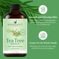 thumbnail image 4 of Handcraft Blends Tea Tree Essential Oil - 100% Pure and Natural - Premium Grade Essential Oil for Diffuser and Aromatherapy - 1 Fl Oz, 4 of 7