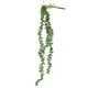 thumbnail image 5 of 6PCS Colgantes Artificiales Suculentas Sunnimix Plantas de suculentas artificiales, 5 of 8