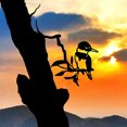 thumbnail image 5 of AAOMASSR Metal Bird Wall Art Metal Bird Silhouette Yard Art Tree Bird Animal Art Sculpture for Indoor Home Garden Lawn Backyard, 5 of 5