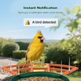 thumbnail image 3 of Comedero para pájaros Gyozol con cámara WiFi Smart Night Vision 2K, 3 of 9