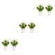 thumbnail image 5 of Centros de limón falsos Bearachild 2 piezas fáciles de limpiar amplia aplicación interior o exterior manzanas pequeñas, 5 of 6