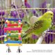 thumbnail image 1 of Juguete Columpio de Hamaca de Madera ANGGREK Con Campana para Loros Medianos y Pequeños, 1 of 8