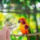 thumbnail image 2 of 5Pcs Durable Birds Food Vegtable Fruits Holder Feeder Devices Clip for Parrots Supplies (Silver), 2 of 3