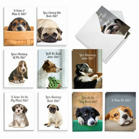 20 Miss You Note Cards Pack (10 Designs, 2 Each) - Miss U Doggies Miss You (4" x 5.12") AM9157MYG-B2x10