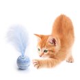 thumbnail image 3 of Juguete de pelota para gatos con plumas Juguetes interactivos para gatos Lanzamiento colorido yeacher Juguete de pelota para gatos, 3 of 7